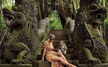 Must-Visit Attractions Around Ubud