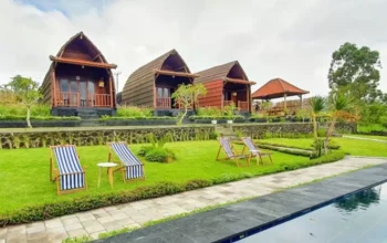 Tempat Glamping di Kintamani